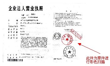 番禺网站建设 营业执照范本